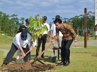 Potret Wapres Gibran Tanam Pohon Ulin & Kapur di IKN