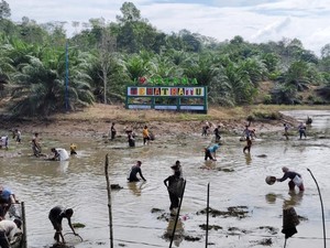 Nangguak Tebat, Tradisi Suku Serawai Sambut Idul Adha