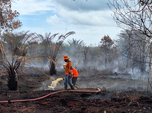 Manggala Agni Kirim 1 Regu Atasi Karhutla 25 Hektare di Bengkulu