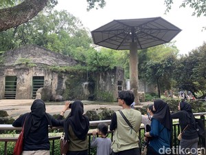 Healing Murah Meriah ala Warga Jakarta di Ragunan
