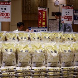 Harga Beras Melejit Bikin Petani Jepang Pening-Pemerintah Tertekan