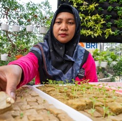 Peran Nyata BRI Diakui dalam Urban Farming dan Pemberdayaan Perempuan