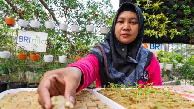 Peran Nyata BRI Diakui dalam Urban Farming dan Pemberdayaan Perempuan