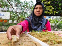 Peran Nyata BRI Diakui dalam Urban Farming dan Pemberdayaan Perempuan