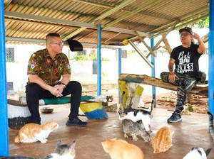 Kucing Jalanan, Overpopulasi, Sterilisasi & Rencana Besar di Kepulauan Seribu