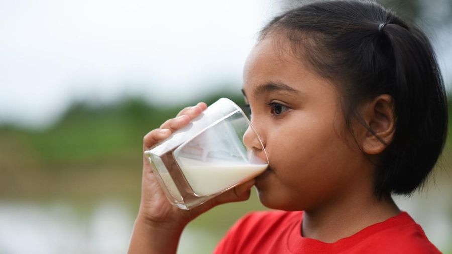 Ilustrasi Anak Minum Susu Ilustrasi Anak Minum Susu