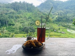 Menyeruput Tenang di Berina Rice Terrace Karangasem