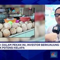 Bupati Mentawai Ungkap Prospek Investasi Sektor Komoditas & Pariwisata