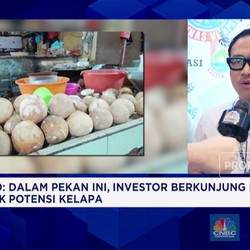 Bupati Mentawai Ungkap Prospek Investasi Sektor Komoditas & Pariwisata