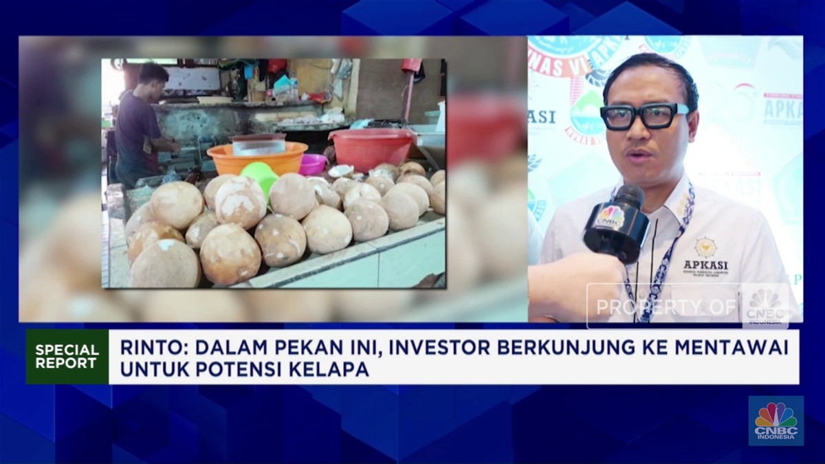Mentawai Membuka Pintu Investasi: Komoditas dan Pariwisata Menjanjikan!