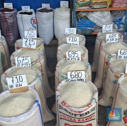 Pedagang Beras Cipinang Teriak, Minta Pemerintah Keluarkan Beras Impor