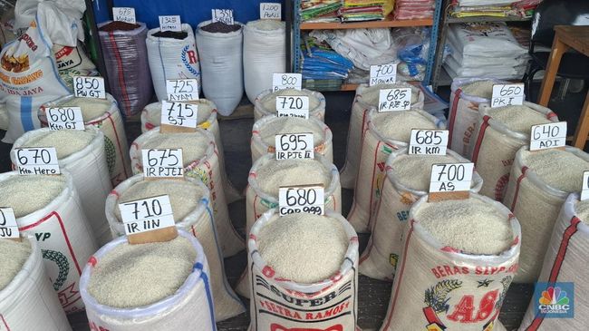 Pedagang Beras Cipinang Teriak, Minta Pemerintah Keluarkan Beras Impor