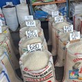 BPS Bongkar Data Kenaikan Harga Beras, di Papua Tembus Rp 54.000/Kg