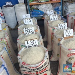 Mentan Amran Bongkar dan Tunjuk Pelaku yang Bikin Harga Beras Naik