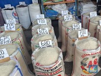 Mentan Amran Bongkar dan Tunjuk Pelaku yang Bikin Harga Beras Naik