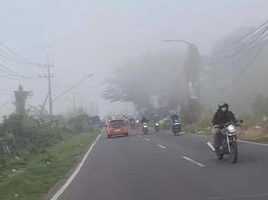 Fenomena Langka Kabut Tebal Selimuti Wilayah Gresik Pagi Ini