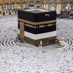 Travel Ternama Jebak Jemaah Haji RI, Disuruh Kerja Paksa di Perkebunan