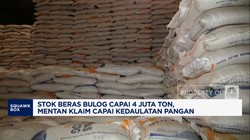 Video: Stok Beras 4 Juta Ton, Mentan Klaim RI Capai Kedaulatan Pangan
