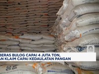 Video: Stok Beras 4 Juta Ton, Mentan Klaim RI Capai Kedaulatan Pangan