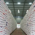 Pemerintah Diminta Banjiri Pasar dengan Beras Bulog, Ini Alasannya