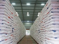 BPS: Harga Beras Mulai Turun, Tapi di Papua Masih Rp54 Ribu/Kg