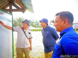 RDP di DPRD Nunukan Gagal Mufakat, Nasib 477 Pekerja PT KHL Menggantung RDP di DPRD Nunukan Gagal Mufakat, Nasib 477 Pekerja PT KHL Menggantung