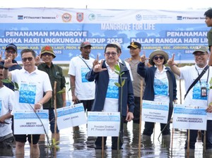 Freeport & KLH Kebut Program Rehabilitasi Mangrove di Kalsel