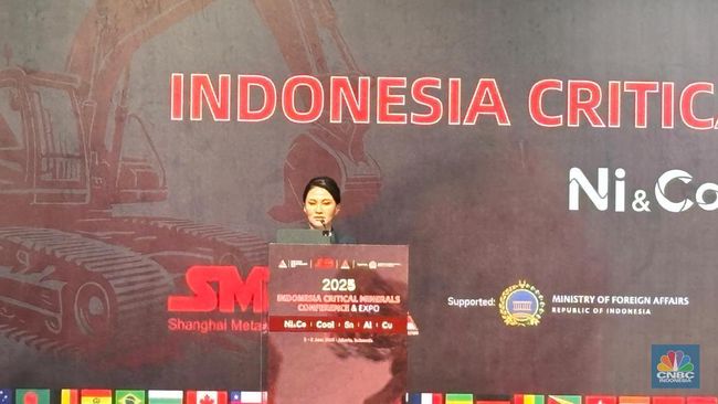 Wow! Ekonomi di Daerah Timur RI Ini Melejit 34,6% Karena "Harta Karun"