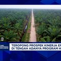 Video: Hilirisasi Sawit Kian Nyata, CBUT Incar Bisnis Biodiesel