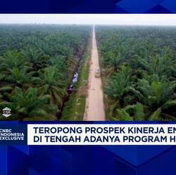 Video: Hilirisasi Sawit Kian Nyata, CBUT Incar Bisnis Biodiesel