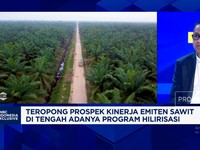 Video: Hilirisasi Sawit Kian Nyata, CBUT Incar Bisnis Biodiesel