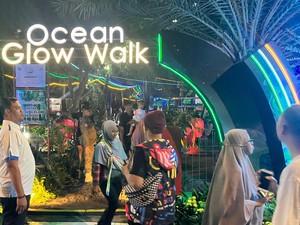 Melihat Keindahan Alam Bawah Laut Jakarta Illumination Island