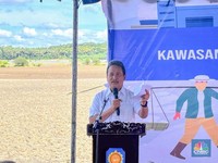 Tambak Raksasa dari Ujung Selatan RI, Harapan Baru Swasembada Garam