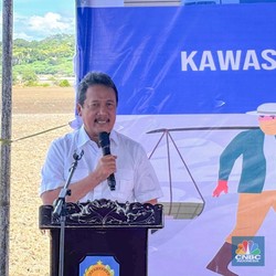 Bangun Tambak Garam Raksasa di Rote Ndao, Trenggono Siapkan Rp 2 T