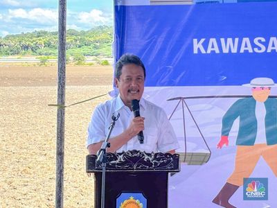 Mari Bertepuk Tangan! RI Tak Lagi Terima Garam Impor di 2027