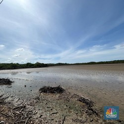 Menengok Calon Tambak Garam Raksasa RI di Dekat Laut Australia