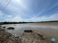 Menengok Calon Tambak Garam Raksasa RI di Dekat Laut Australia
