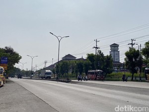 Heboh Rusa Tergeletak Penuh Luka di Jalan Depan Terminal Mangkang Semarang