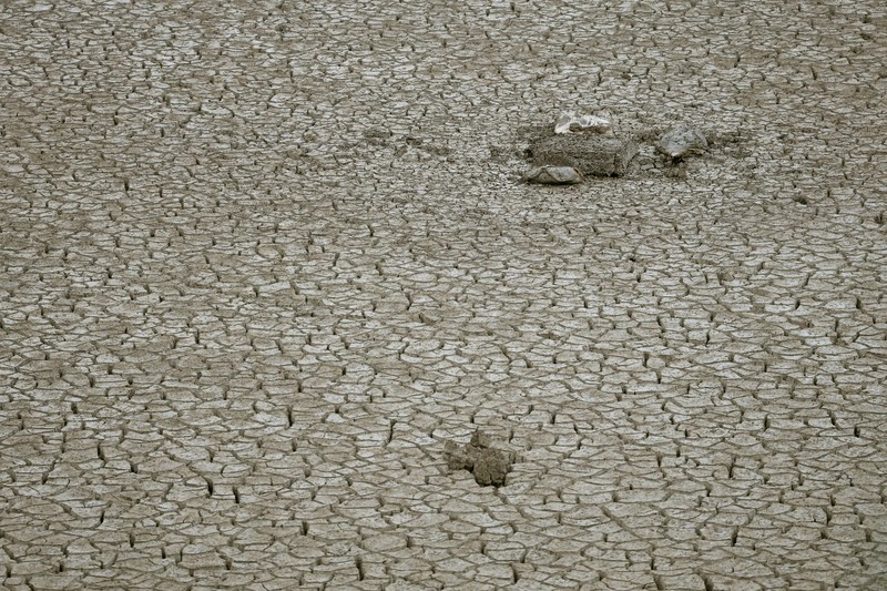 ASIA-WEATHER/CHINA-WHEAT A drone view shows a combine harvester working on a hilly wheat field at the drought-hit Yongshou county in Xianyang, Shaanxi province, China May 29, 2025. REUTERS/Florence Lo
