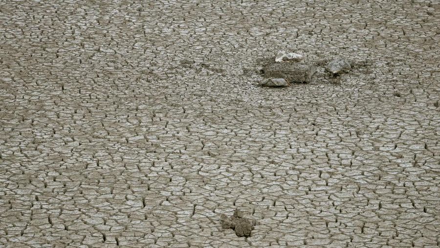 A drone view shows a combine harvester working on a hilly wheat field at the drought-hit Yongshou county in Xianyang, Shaanxi province, China May 29, 2025. REUTERS/Florence Lo