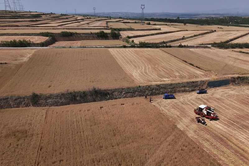 A drone view shows a combine harvester working on a hilly wheat field at the drought-hit Yongshou county in Xianyang, Shaanxi province, China May 29, 2025. REUTERS/Florence Lo
