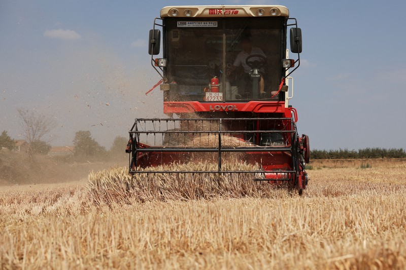 A drone view shows a combine harvester working on a hilly wheat field at the drought-hit Yongshou county in Xianyang, Shaanxi province, China May 29, 2025. REUTERS/Florence Lo