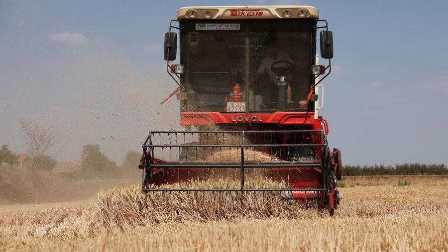 A drone view shows a combine harvester working on a hilly wheat field at the drought-hit Yongshou county in Xianyang, Shaanxi province, China May 29, 2025. REUTERS/Florence Lo