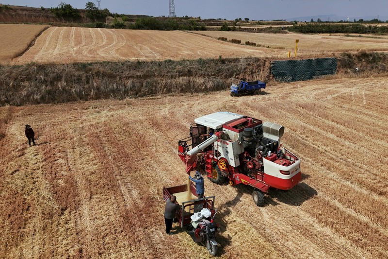 ASIA-WEATHER/CHINA-WHEAT A drone view shows a combine harvester working on a hilly wheat field at the drought-hit Yongshou county in Xianyang, Shaanxi province, China May 29, 2025. REUTERS/Florence Lo