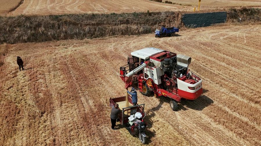 A drone view shows a combine harvester working on a hilly wheat field at the drought-hit Yongshou county in Xianyang, Shaanxi province, China May 29, 2025. REUTERS/Florence Lo