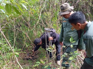 Akhir Tragis Macan Tutul Jawa di Gunung Lancang Garut