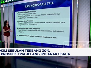  TPIA Melesat 30%, Investor Lirik Potensi IPO Anak Usaha