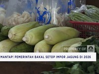 Video: Bantuan Upah Bakal Cair - Citigroup Bakal PHK 3.500 Karyawan