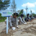 BRI Pertegas Komitmen Jaga Ekosistem Lingkungan Lewat Program Ini