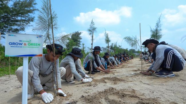 BRI Pertegas Komitmen Jaga Ekosistem Lingkungan Lewat Program Ini
